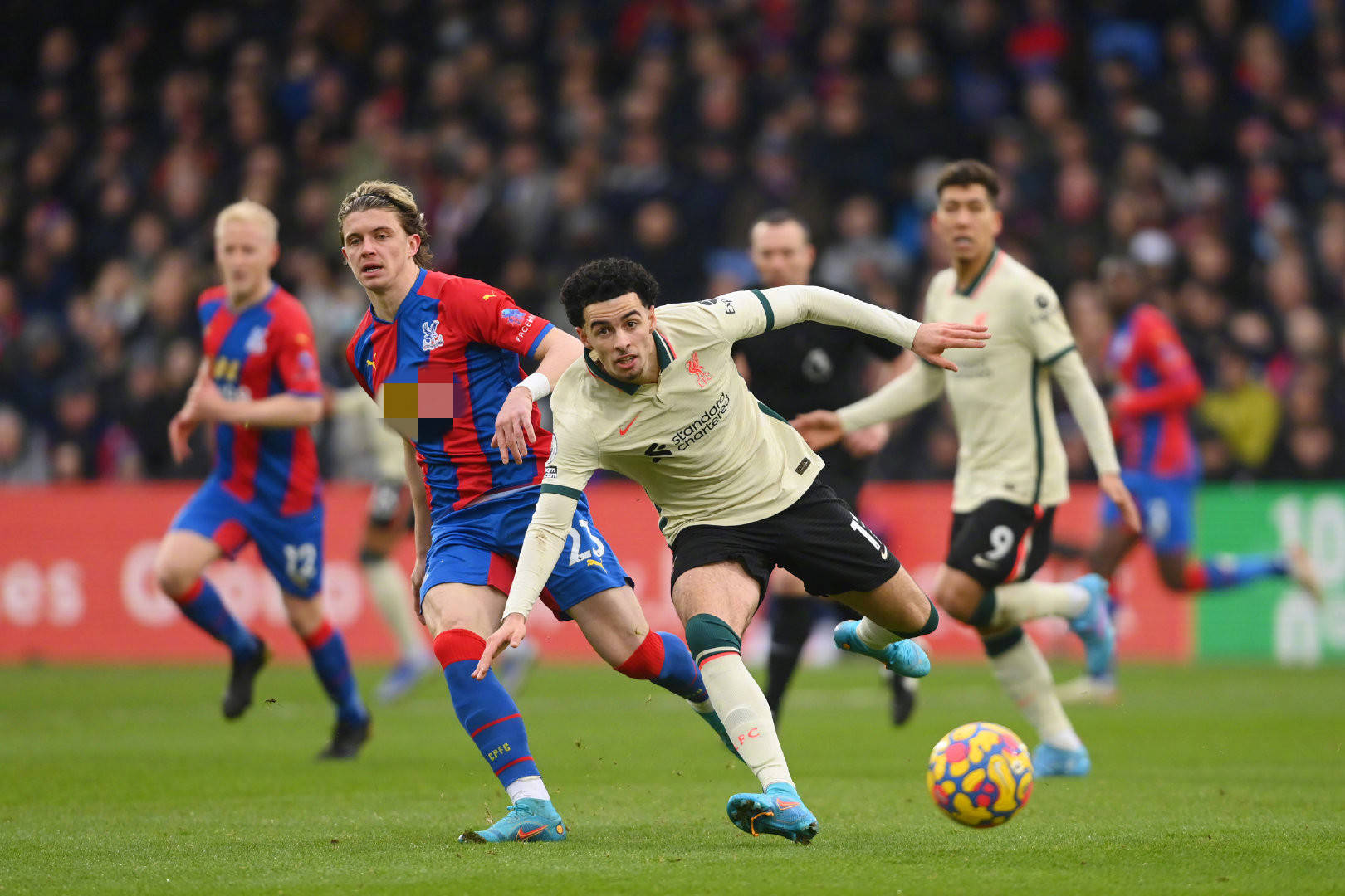 在多特的视 在多特的视